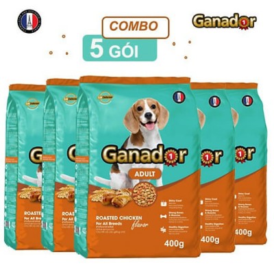 Ganador Adult vị gà nướng 400g