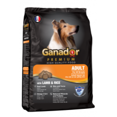 Ganador Adult vị cừu gạo 400g