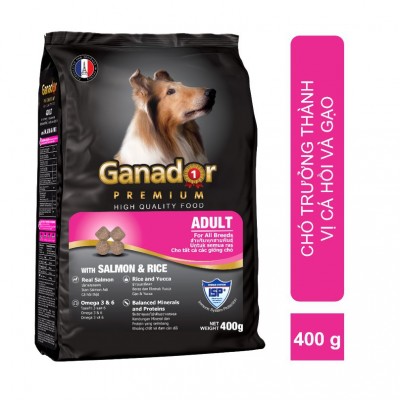 Ganador Adult vị cá hồi 400g 