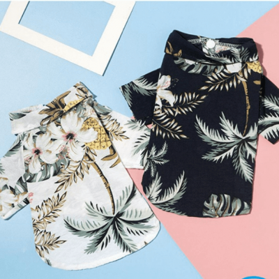 Áo đi biển cho cún