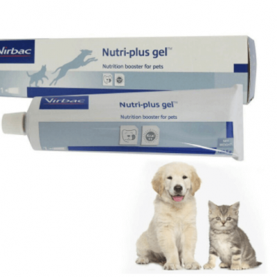 Gel Dinh Dưỡng Nutri plus 